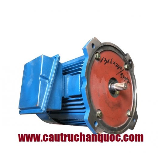 Động cơ nâng hạ palang hàn quốc công suất 13kwx6P